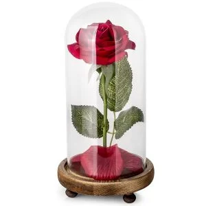 rosa tarro de cristal bella y bestia